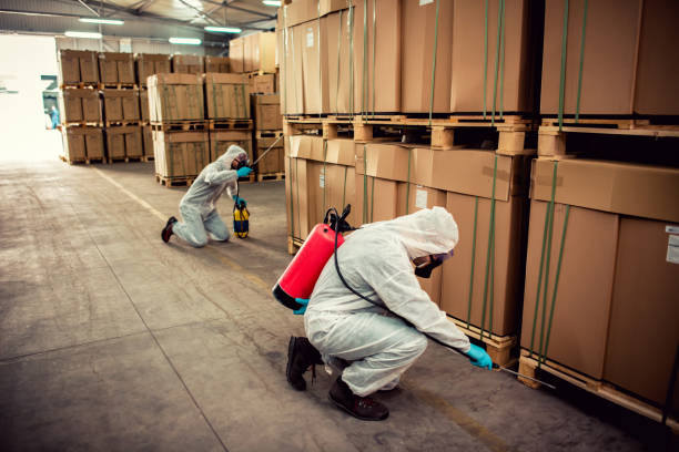 Best Mosquito Control Services  in Hayden, ID