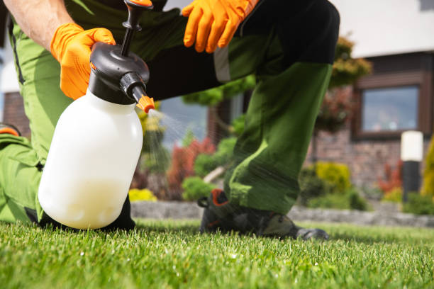 Professional Pest Control in Hayden, ID