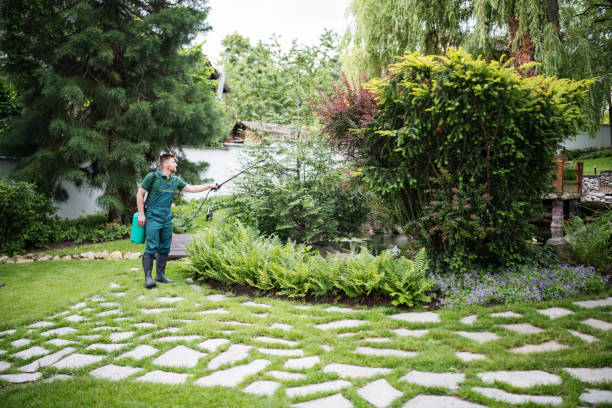 Best Commercial Pest Control Services  in Hayden, ID