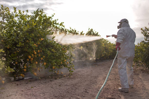 Best Residential Pest Control  in Hayden, ID