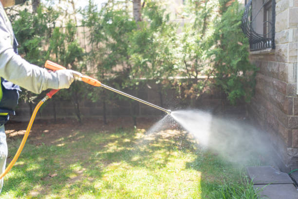Best Best Pest Control Companies  in Hayden, ID