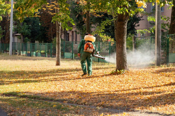 Best Best Pest Control Companies  in Hayden, ID