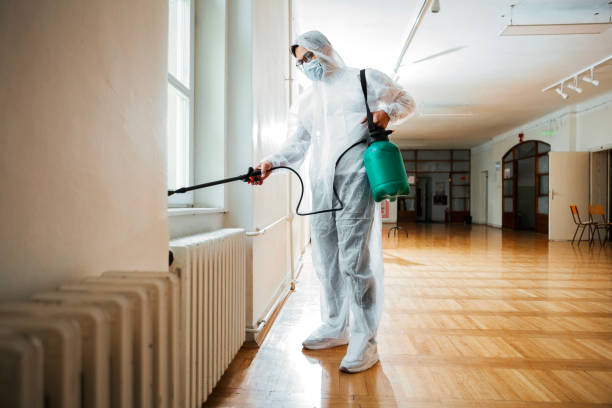Best Affordable Pest Control Services  in Hayden, ID
