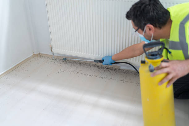 Best Pest Inspection Near Me  in Hayden, ID